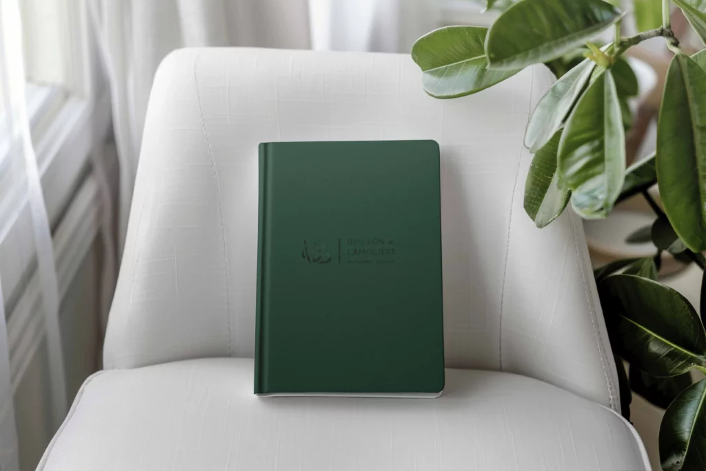 Réalisation de l'Agence Innova pour l'étude Brisson & Associés