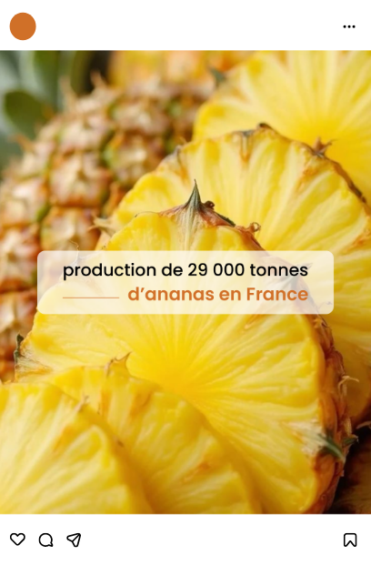 réalisation de l'Agence Innova pour Soyons Frais