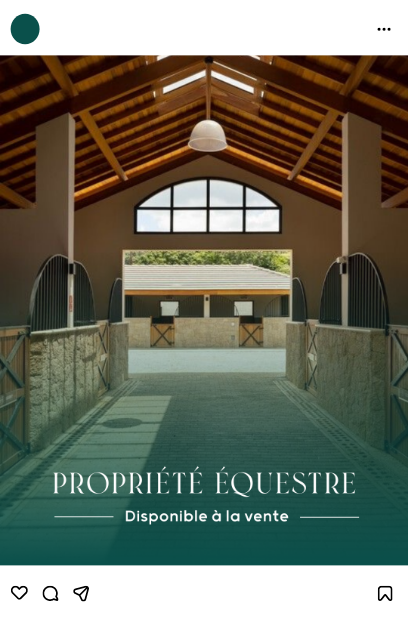 Realisation de l'Agence Innova pour Prestia Equestrian